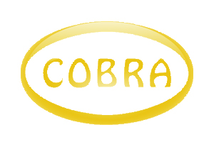 Тюнинг ателье Cobra